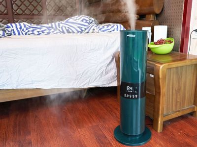舒樂氏藍(lán)嶺霧加濕器 在家里種上一棵會呼吸的樹